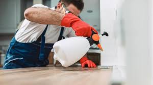 Best Termite Inspection and Treatment  in Baxley, GA